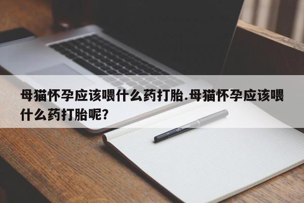 正品打胎药私人微信母猫怀孕应该喂什么药打胎.母猫怀孕应该喂什么药打胎呢？