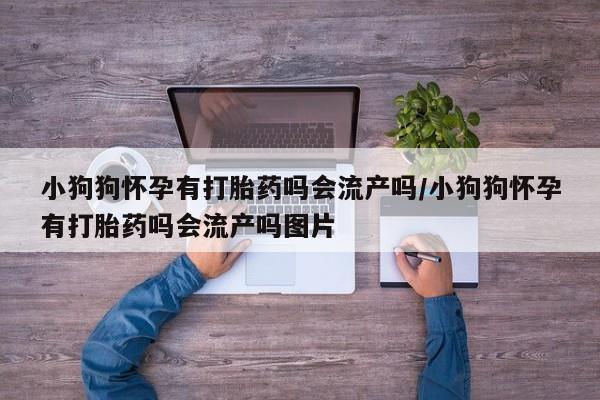 正品打胎药私人微信小狗狗怀孕有打胎药吗会流产吗/小狗狗怀孕有打胎药吗会流产吗图片