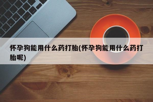 正品打胎药私人微信怀孕狗能用什么药打胎(怀孕狗能用什么药打胎呢)